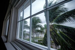 Florida residential home window overlooking a palm tree blowing in hurricane winds